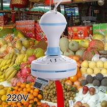 Selling butcher stall Health small ceiling fan to catch special mosquito repellent Kitchen deli fly small ceiling fan fan mosquito repellent insect blast