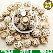 Yunma Suizhou exports Tianbai mushroom dry goods agricultural products soup mushrooms non-basswood wild mushroom size dried shiitake mushrooms