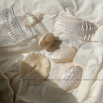 Korat ins natural conch shell coral shooting props jewelry necklace earring decoration j home ornaments