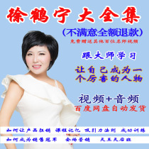 2022 Xu Crane Ning Sales Course Full Set Inspirational Day Wang Days Lecturer Class Marketing Skills Full Video Lecture