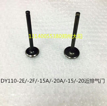 Dayang original parts DY110-2E -2F -15A -15 20A -20 -28A intake and exhaust valve