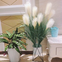 Net red simulation Reed living room decoration Nordic floor dry flower big ornament dog tail grass fake flower Reed flower bouquet
