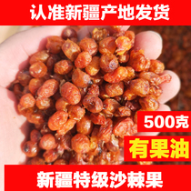 New sea buckthorn dried fruits Xinjiang specialty wild 500g dried fruits Fresh dried fruits fruit powder seed oil soaked sea buckthorn tea
