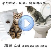 Cat and cat thickened squat toilet toilet cat toilet training squat pit