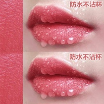 Soybean paste powder makeup bean paste color lipstick raincoat matte non-fading long-lasting white waterproof non-stick Cup