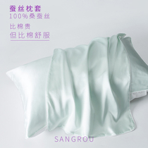 Silk Pillow Cover Mulberry Silk Beauty Satin Pure Silk 22 m Solid Color Single Single Single Pillow Case