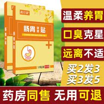 Gastrointestinal patch for children adults stomach powder warm constipation gastrointestinal laxative female spleen and stomach deficiency