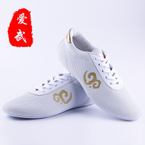 Aiwu Spring and Summer Autumn Taiji Shoes Martial Arts shoes Taekwondo shoes Childrens training competition shoes Mens and womens martial arts shoes
