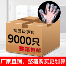 Disposable gloves thickened transparent food grade whole box wholesale food takeout plastic gloves for hair dyeing and beauty