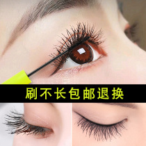 Mascara female waterproof fiber long roll teething without fainting lasting encryption elongated long and dense intense and intense