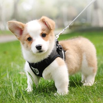 Vest-style dog leash small dog chest strap Teddy Corky puppy puppy dog chain walking dog rope chest back