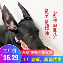 Ear puppies supplies Corky dog artifact tape to assist Dubin ear correction Black Wolf Dog Deer Mu