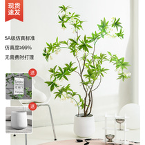 Simulation green plant fake plant light luxury living room decoration tree indoor large potted water stone banyan floor decoration simulation flower