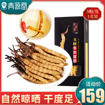 Qingyuantang Qinghai Cordyceps high quality Cordyceps dry non-cut grass nourishing 5g