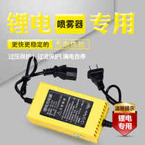 12V electric sprayer 12V lithium battery charger 12V8ah12V10ahv14av16a lithium battery charger