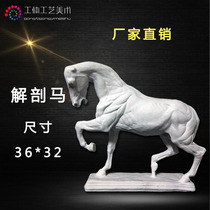 New products Anatomy horse Animal Whole body image Plaster image Art teaching aids Still life Sculpture ornaments Sketch Home decorations