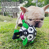 Dog toy ball elastic ball interactive ball bite-resistant ball training small dog method pet football boring artifact