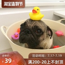 Pug bath tub French bucket Pet bath tub Dog bath tub Cat bath tub Small dog bath tub Kennel toy storage bucket