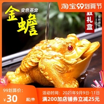 Golden toad color-changing tea pet ornaments Zen tea ceremony tea set tea table tea table small can raise toad tea pet