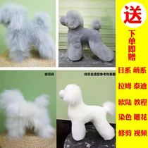 Pet beauty fake dog hair model model Model Teddy dress than bear VIP Rambe practice simulation dog Mao Rui pet