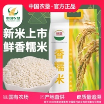 (China Agricultural Reclamation) Wan Keng glutinous rice 2 5kg nutritious coarse grains full belly cooked porridge breakfast eight treasure porridge rice