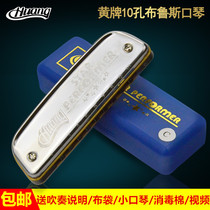 HUANG yellow card 10 hole blues harmonica C tune boat type 102 children junior students adult self-study ten hole blues