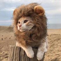 Cat headgear Pet small lion headgear Cat hat Dog Teddy headdress Cat with lion head funny net red hat