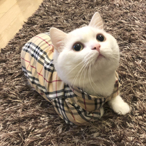 Tide cat clothes spring thin dog shirt cat autumn casual clothes Teddy than bear fight pet clothing
