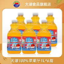  Shanghaijia Great Lake 100%Apple juice Juice Fruit and vegetable juice Health drink 1L*6 large bottles FCL