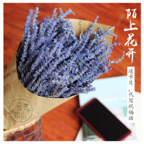 Xinjiang Yili lavender dry bouquet living room lavender home decoration real flower soothe the hipster