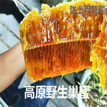 (Wild Honey) Natural non-added wild nest honey honeycomb Honey Honey hundred nectar 500g order notes