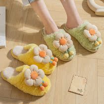 Princess slippers home wool shoes tow 2021 New Women autumn and winter plush cotton tow indoor ins bag tow
