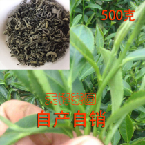 Guangdong Haifeng Lianhua Mountain Mountain Cloud mist Green tea Special Class 2021 New tea Fried Tea Strong Aroma Type Tea Bulk 500g