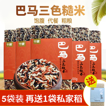 Bama three-color brown rice coarse grain rice new rice black rice red rice full belly substitute meal grain 5kg flagship store