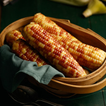 8 Northeast fragrant glutinous flowers glutinous corn cobs non-transgenic Sweet glutinous soft vacuum packaging coarse grains lock fresh corn rice