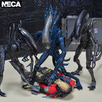  Genuine NECA Alien war Iron warrior AVP contract Alien model movable hand-made toy gift