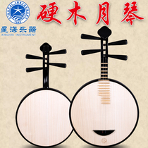 Beijing Xinghai 8211R hardwood Yueqin musical instrument national musical instrument Peking opera accompaniment free accessories official authorization