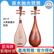 Beijing Xinghai pipa 89119 big fruit red sandalwood pipa star Sea pipa instrument