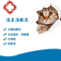 Cats dogs pets nose drops herpes virus eye drops conjunctivitis sneezing runny nose cats and dogs