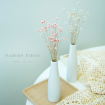 Small star flower dry bouquet mini daisy button flower eternal flower small fresh flower arrangement decoration diy material