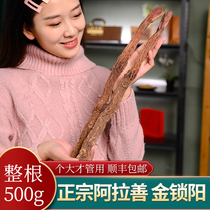 Authentic Jinsuo Jongyang Wild Super Inner Mongolia Alxa male nourishing health soak wine material Tea 500g
