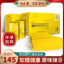  Bay Valley original elastic teeth fresh glutinous corn no added corn 24 sticks of Northeast specialty soft glutinous healthy and nutritious breakfast