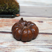Sugong boutique solid copper pumpkin paperweight town pen holder ornaments retro Japanese copper worm tea pet special clearance