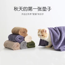  Pet blanket special blanket for cat supplies dog mattress cat nest winter warm and thickened quilt