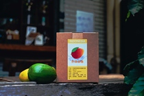 Bean dance boutique coffee 9 month Fine selection hanging ear mango yogurt Indonesia lactic acid bacteria fermentation