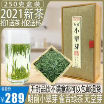 Uniform pointed bird tongue 2021 New Tea Green Tea Tea Tea super high Guizhou mountain Meitan cubuds strong fragrance front gift box bulk