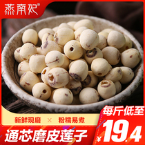 Lotus seeds dry goods 500g*2 bags of premium coreless grinding Lotus seeds Xiangtan heartless Hunan specialty bulk coreless lotus seeds