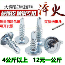 Galvanized large flat head drill tail screw Self-tapping self-drilling screw Dovetail nail Color steel tile iron self-power screw M4 2