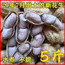 Fresh boiled peanuts dried 5 pounds plus salt dried 3 pounds Guangxi Liuzhou original non-crispy snacks