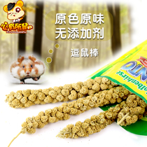 Natural yellow grain spike 100g bear hamster grain parrot food squirrel hamster snack nutrition food feed